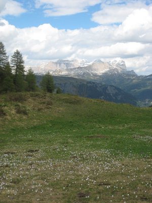 schon nach der Busfahrt nach Arabba auf dem Heimweg, Pista Pordoi mit Blümchen und Tofanen im Hintergrund