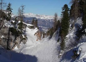 oberer Teil der Talabfahrt richtung Krippenbrunn, im Hintergrund der Loser