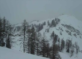 Ziehweg richtung Schneiderkogel