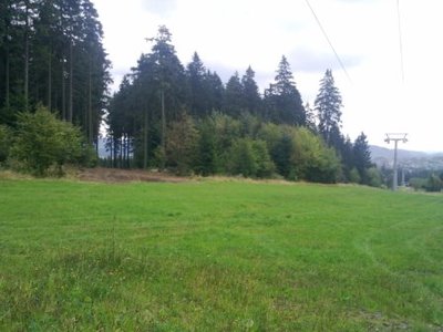 Schneise Richtung Große Büre