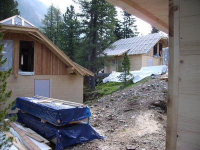 Die Neuen in der St.Veiter Siedlung ( in den letzten 4 Wochen dazugekommen)