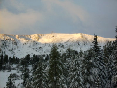 Guten Morgen Samstag