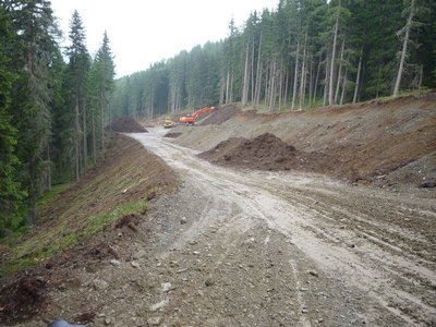 Rodung Piste Ried Anfang Juli