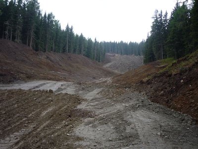'Umgehungsstrasse' Prackenspeichersee