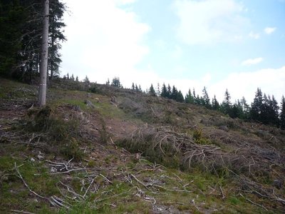 Zumindest wird es breiter...