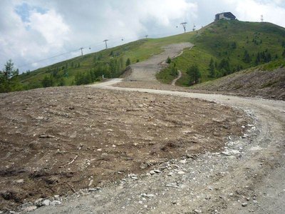 2R Seewiese Anfang Juli - Neubau vom letzten Jahr
