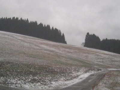 stollenwald.jpg