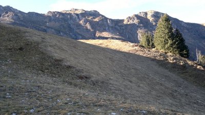 vor 2 Wochen auf 1600müm