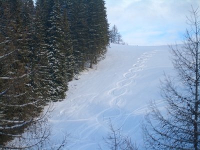 Kränze flechten für Fortgeschrittene am Sonntagskogel