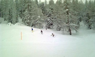Snowboarder nutzen den Neuschnee im Wald oberhalb der Schöngampalm.