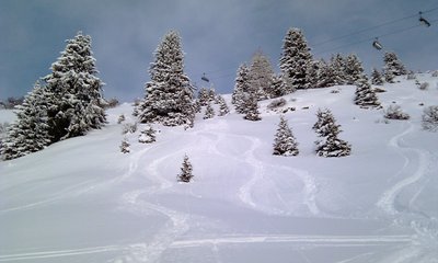 Sonntag - Tiefschneerevier unterhalb der Königsleitebahn.