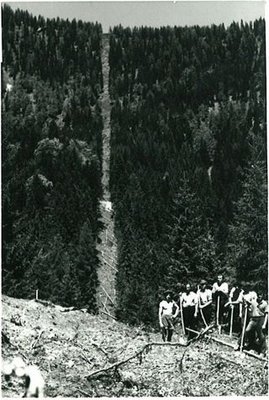 Tauplitzerbauung1956 (10).jpg