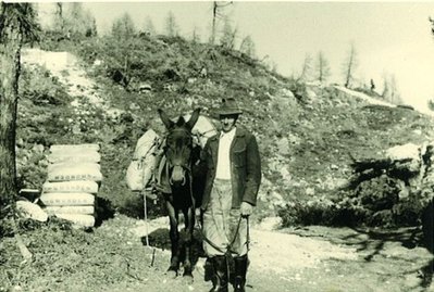 Tauplitzerbauung1956 (21).jpg