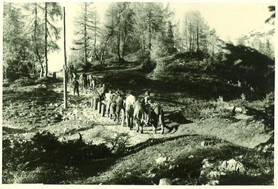 Tauplitzerbauung1956 (27).jpg