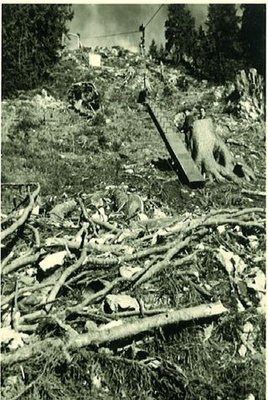 Tauplitzerbauung1956 (38).jpg