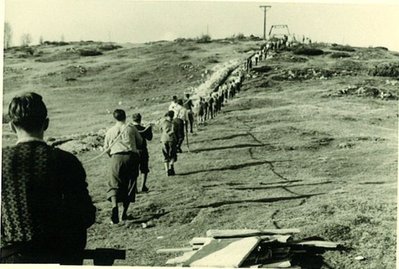 Tauplitzerbauung1956 (43).jpg