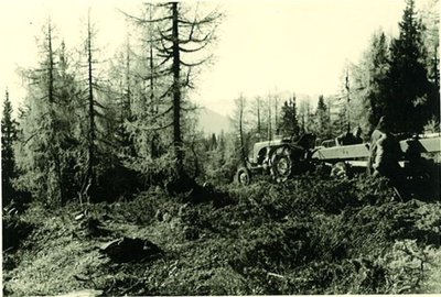 Tauplitzerbauung1956 (46).jpg