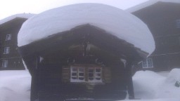 Schnee hatte es genug^^