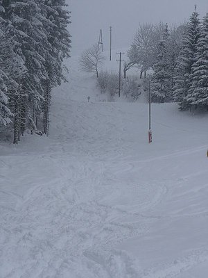 Die lt. Infotafel gesperrte Handlbauerabfahrt.