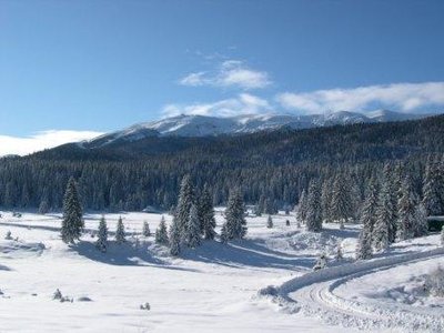 In diesem Hochtal fanden 1984 die Langlauf- und Biathlonwettbewerbe statt. Hinten Bjelasnica