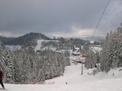 Richtung Tal war es aufgelockerter