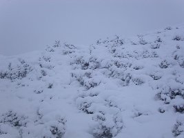 Nochmals sehr viel Schnee! Kann euch garantieren die 1,70m Schnee stimmen. bin zumindest bis zum Kinn versunken!