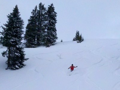 Zum Vergrößern klicken!