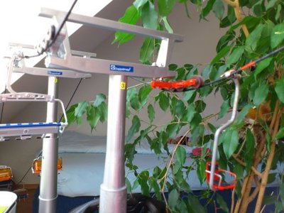 ESL Steurer by PETZ (3).JPG