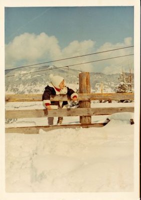 Tom blickt verzückt von seinem Bankerl neben dem Nazbauern auf die Maschine der ersten Teilstrecke. Das hohe Singen des Elinmotors mit der sich drehenden Blindstummelwelle hat es ihm angetan. 45PS Elin mit Zahnkranzantrieb STEURER.