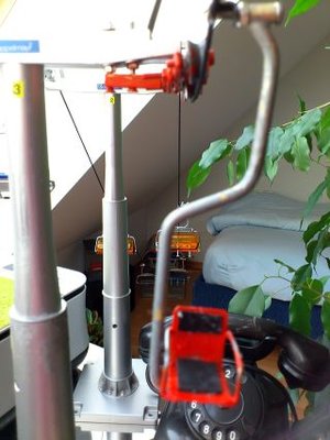 ESL Steurer by PETZ (1).JPG