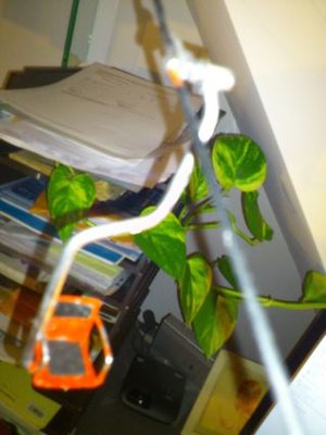 Herzbullialm25.01 (7).JPG