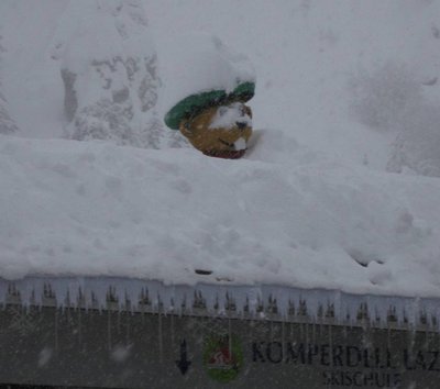 armer Murmeli braucht auch mal die Rettung. Schade das er keinen Lawinenrucksack hat