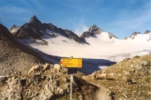 Und dieses Bild stammt aus dem Jahr 1999.