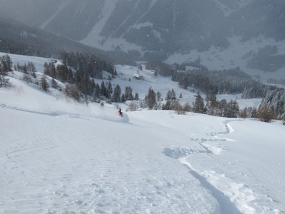 Powdern am Rinerhorn (Di.)