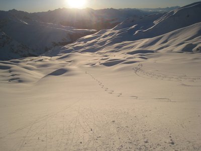 Weissfluh (Do.) - Tourenabfahrt vom Weissfluhgipfel nach Langwies (bei Arosa - 2,5 Std. Rückfahrt per Bahn...)
