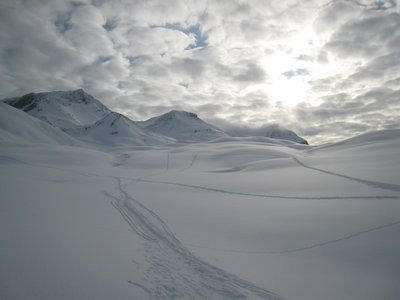 Weissfluh - Nordabfahrt (Fr.)