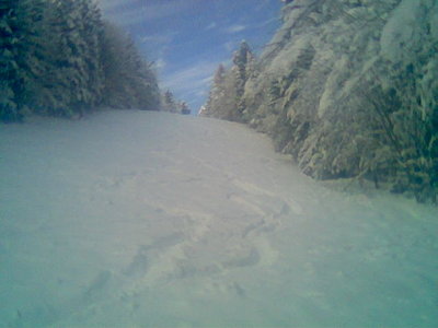 Hirschkopf 28.11.2010.jpg