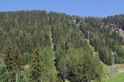 Ex SL Furcia, Waldschneise