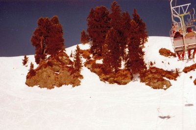 Obertauern 1981 mit Familie Makowetz g Blick vom DSB Grünwaldkopf links zur Fluhbachalm..jpg
