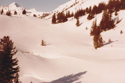 Obertauern1981 n mit Familie Makowetz abfahrt vom Gamsmilchwalter vor Vereinigung mit Kirchbühelpiste.jpg