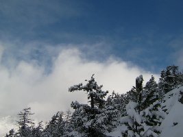 zeigt nichts bergbahntechnisch relevant - aber eine wundervolle stimmung.