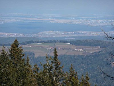 Abschließend noch ein Blick ins Wiener Becken.
