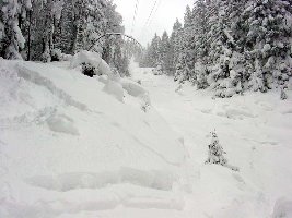 im Rax-Seilbahngraben