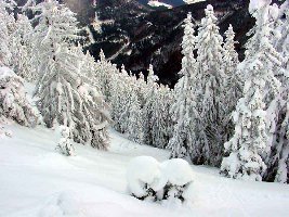 Variante auf der Sonnwendstein Südostseite