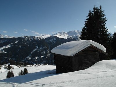 kurz vor der Talstation Fatschel. Hinten Arosa Weisshorn.