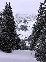 Am 6. Tag das erste mal die Abfahrt am SL Crep de Mont gefahren, schöne sturmsichere Waldabfahrt.