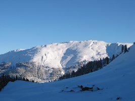 Da muss ich wirklich mal eine Skitour rauf machen...