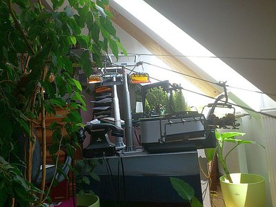 Christi Himmelfahrt 2012 a.JPG