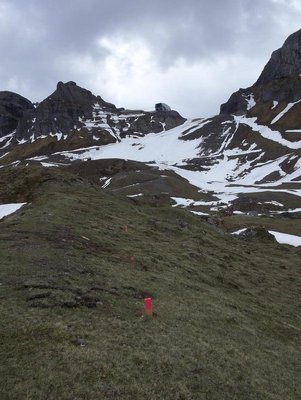 oberer Teil der Trasse. Am linken Bagger ist die Bergstation