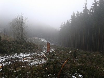 unteres Drittel der Trasse Schneewittchen/Verbindungsbahn